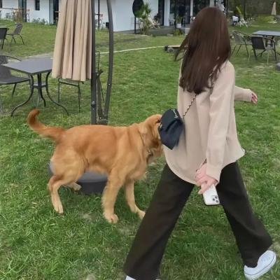 续韩国泪的小花